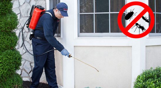 Karamanlı Hamam Böceği İlaçlama böcek ilaçlama ve haşere kontrolü — ilaclama-tr.com